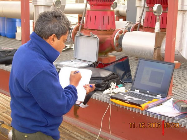 DECPL engineer logging field measurements during a plant energy audit
